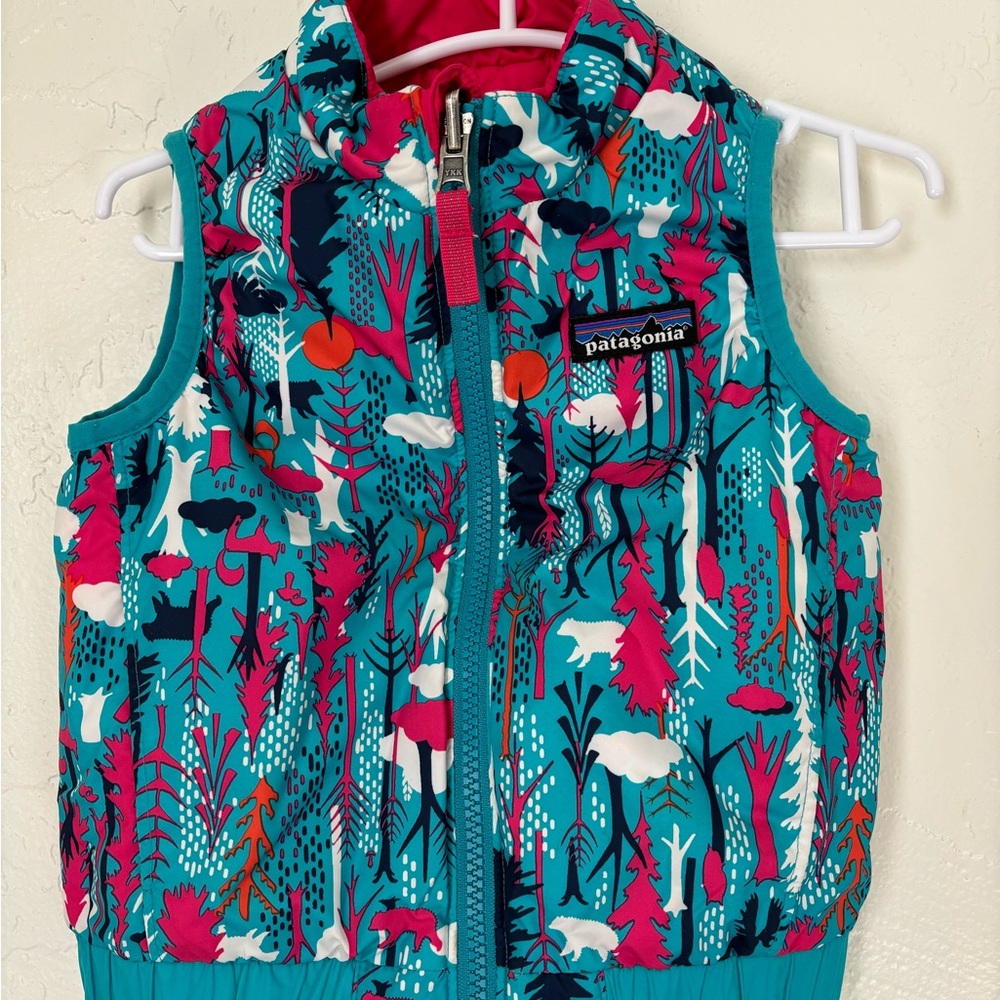 Patagonia Baby Vest size 2T